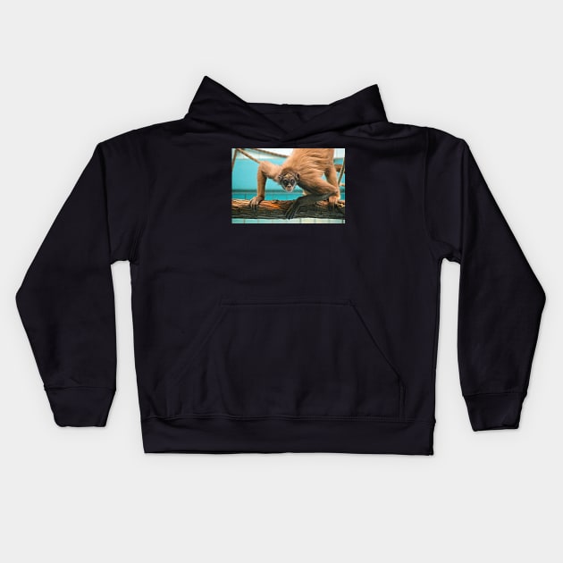 Stare Down Kids Hoodie by kchase